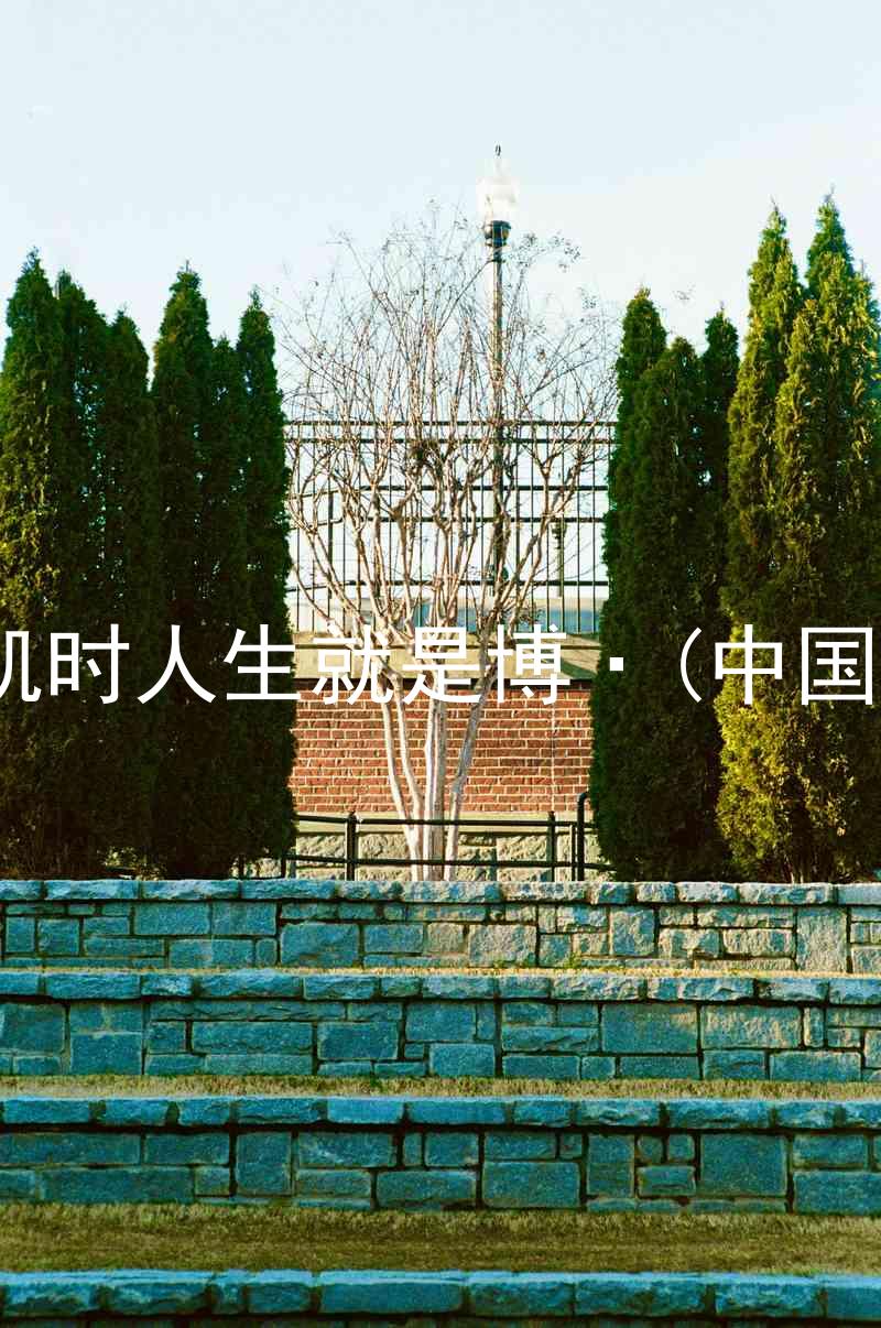 尊龙凯时人生就是博·(中国)bjl8